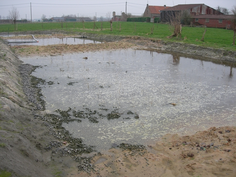 2018124151141752 constructedwetlands1 jpg width