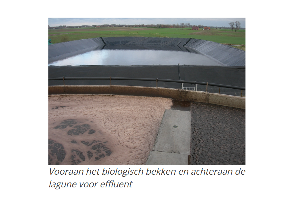 Biologiebekken en lagune