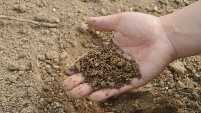 Soil 766281 1280 h2e4af638itokx D Wn3 D Wh